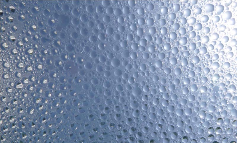 Pentylene Glycol