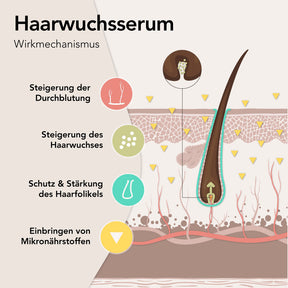 Haarwachstum Serum - 50ml