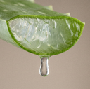Aloe Barbadensis Leaf Juice