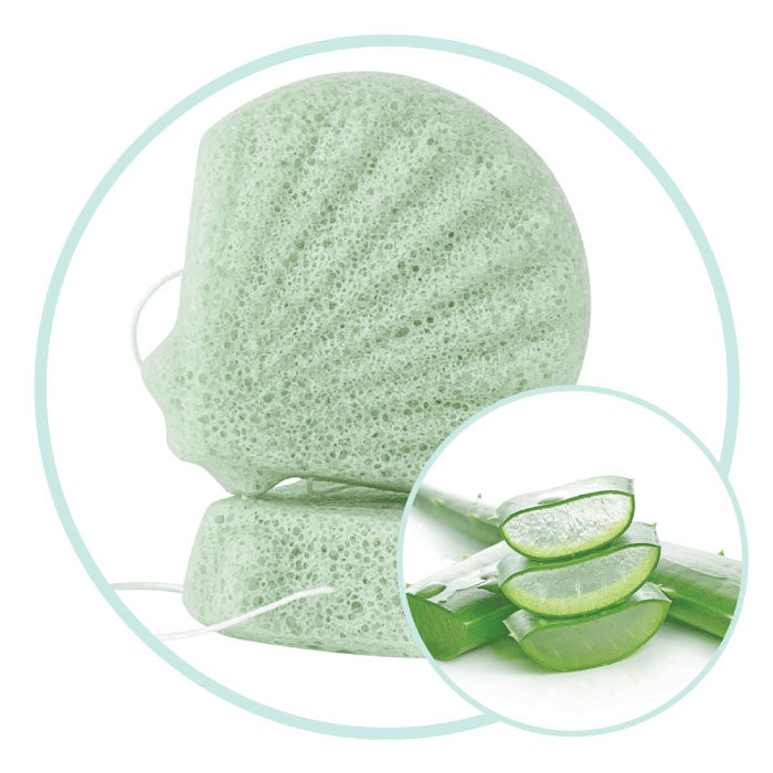konjac-schwamm-gruen.jpg__PID:6a45a601-7600-4deb-8f5c-6cd1111a1242